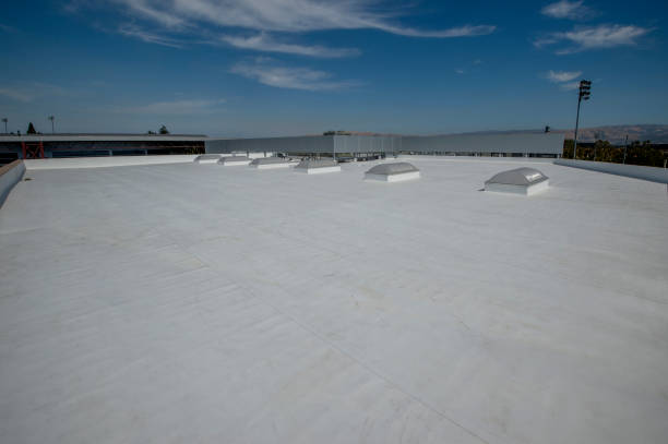 Best Emergency Roof Repair Services  in Shelbyvle, IL