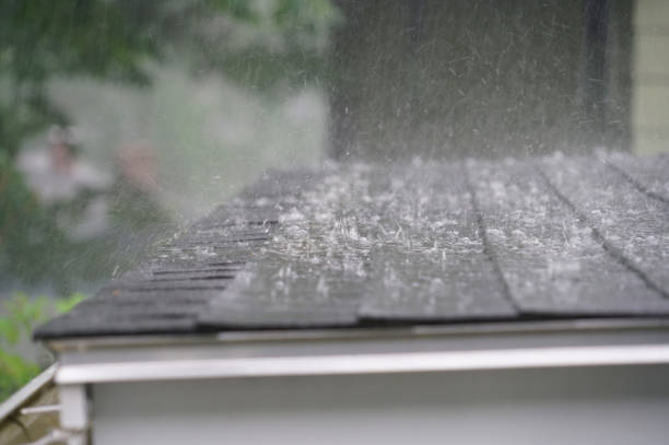 Best Green or Eco-Friendly Roofing Solutions  in Shelbyvle, IL