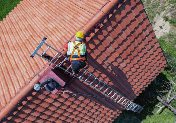Best Roof Insulation Installation  in Shelbyvle, IL