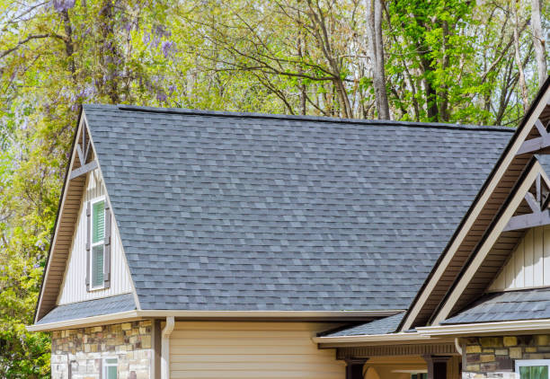 Best Roof Leak Repair  in Shelbyvle, IL