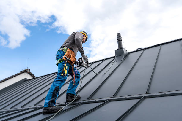 Best Solar Panel Roofing Installation  in Shelbyvle, IL